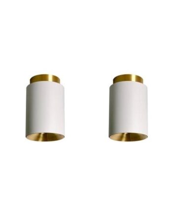 Dcwéditions Tobo C85 Duo Loftlampe Hvid