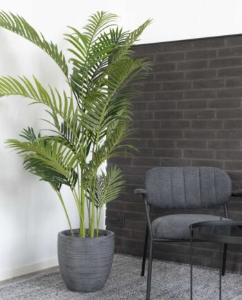 Areca Palme Kunstig Plante  Højde 175 Cm
