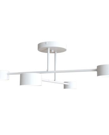 Halo   White