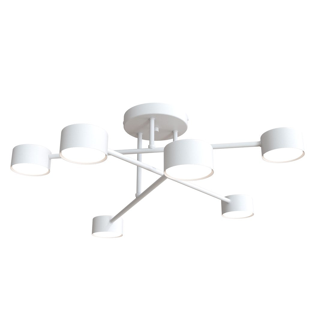 Halo White
