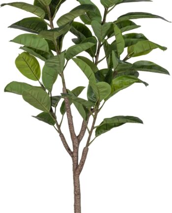 Kunstig Plante Woood Rubberboom H135 Cm Grøn