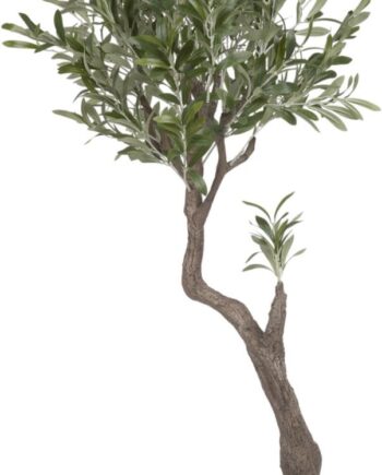 Kunstigt Oliventræ Kave Home Olivo   Naturtro Kunstplante   Sort Potte  Vedligeholdelsesfri  H140   B55   L50 Cm