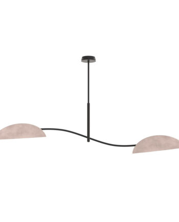 Lotus   Bl Gray