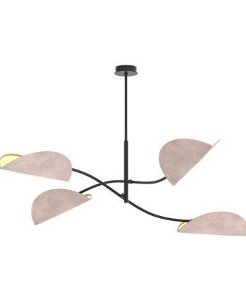 Lotus   Bl Gray