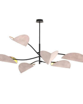 Lotus   Bl Gray