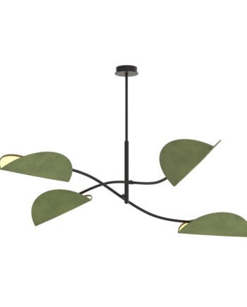 Lotus   Bl Green