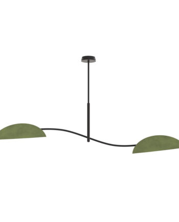 Lotus   Bl Green