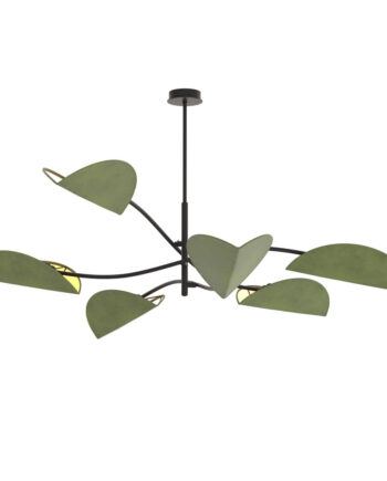 Lotus   Bl Green
