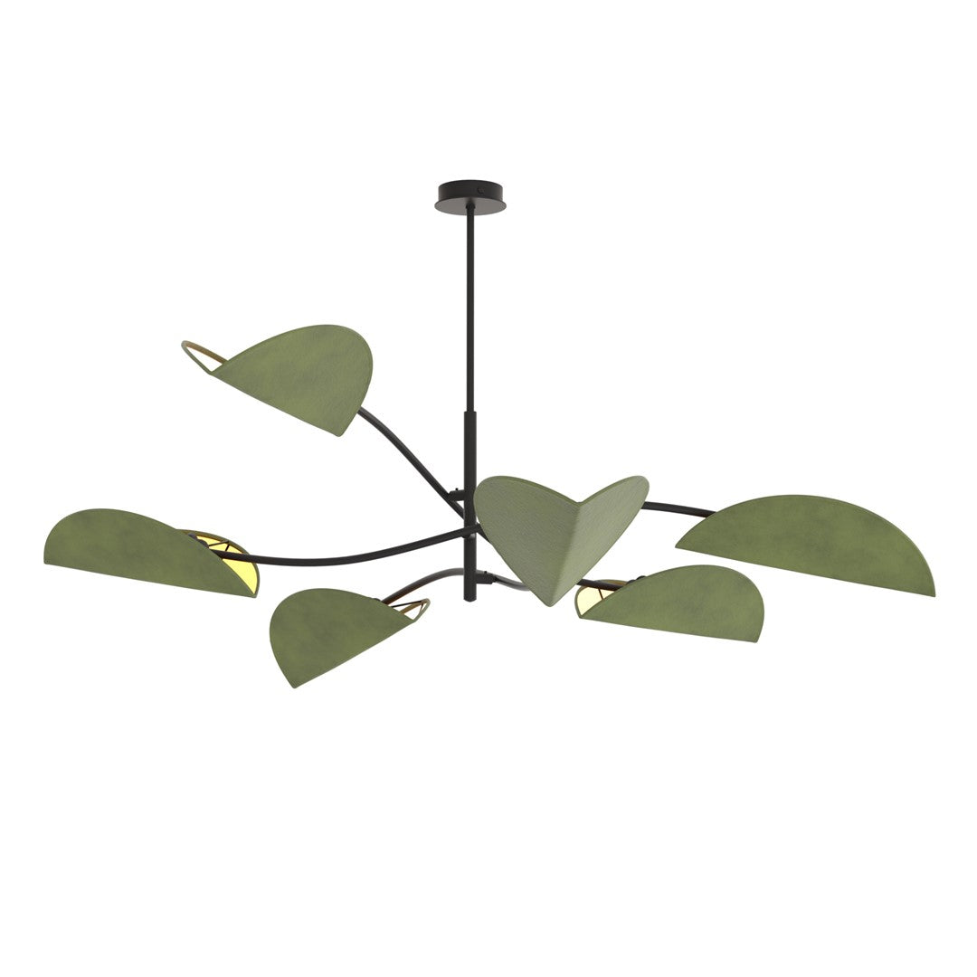 Lotus Bl Green