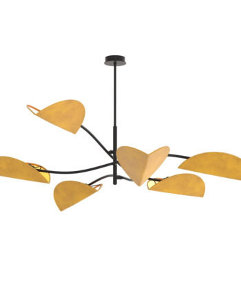 Lotus   Bl Mustard