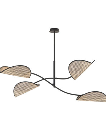 Lotus   Bl Natural