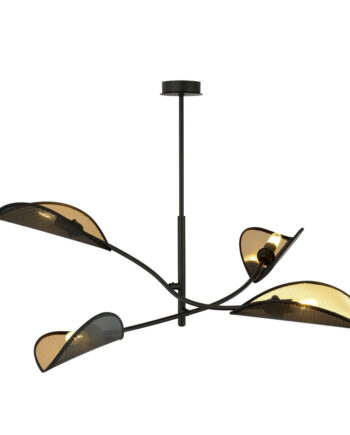 Lotus   Black Gold
