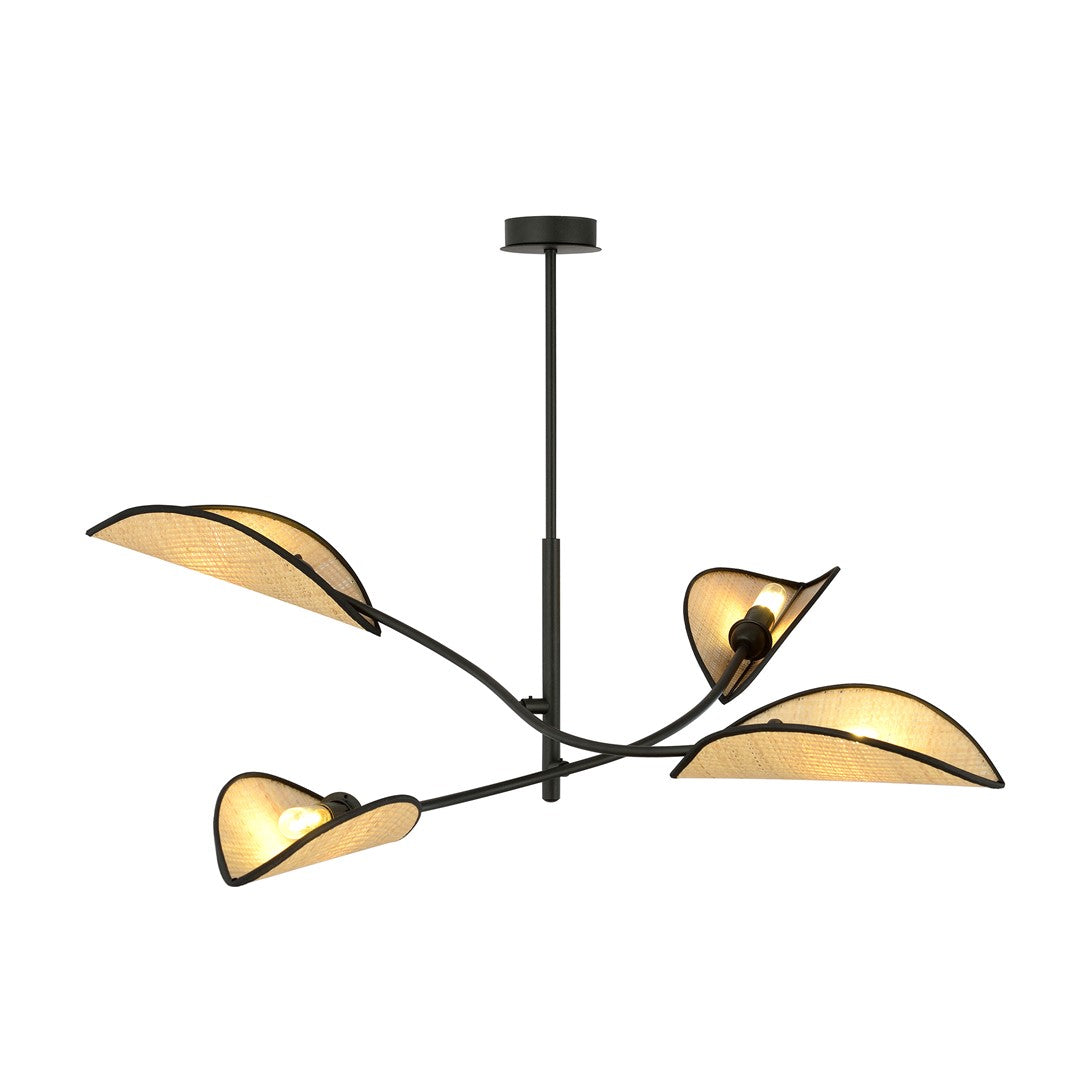 Lotus Black Rattan