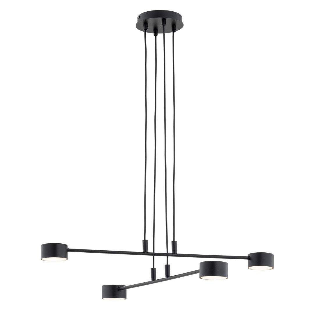 Modus Black