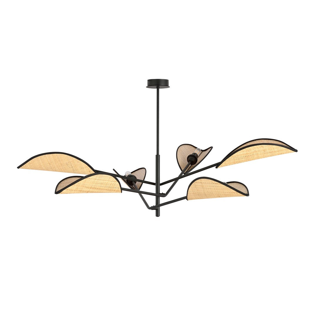 Vene Black Rattan