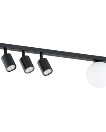 Baster   Black