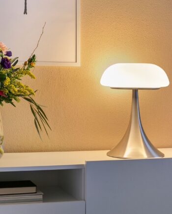 Carrizal Bordlampe   Stål Og Hvidt Glas
