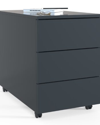Kontorskab Arkivskab     55      39      45 70 Cm  Antracit