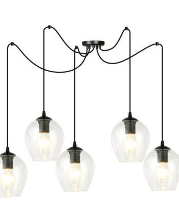 Level   Bl Transparent