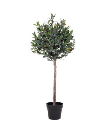 Oliventræ Kunstigt Plante  Grøn  :120 Cm