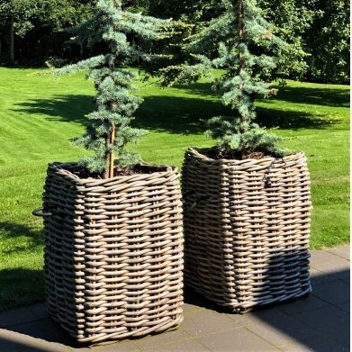 Ratata Rattan Kurv  Firkantet  59   59   Højde 84 Cm