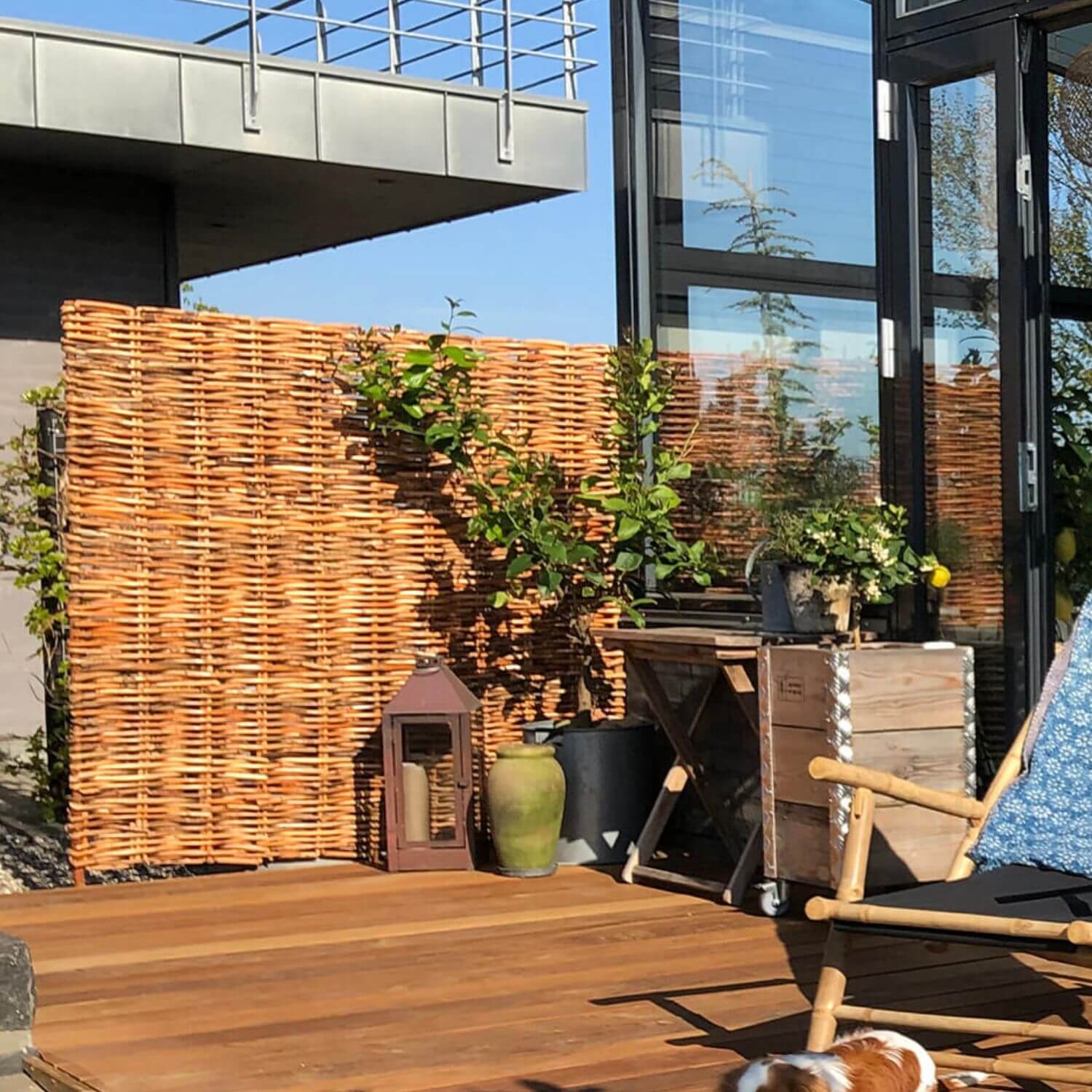 Shadow Læhegn   Rattan Flet  120   150 Cm