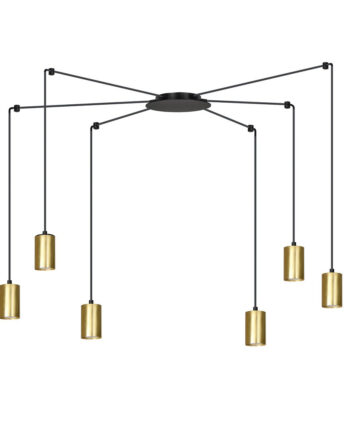 Traker   Bl Gold