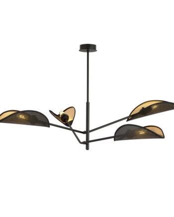 Vene   Black Gold
