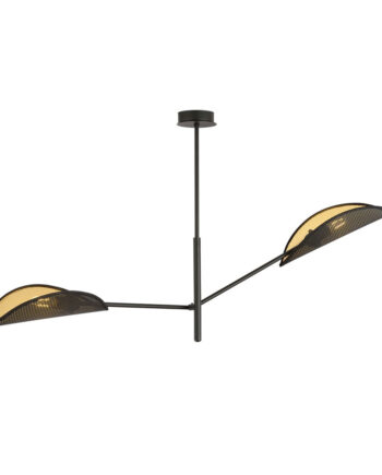 Vene   Black Gold