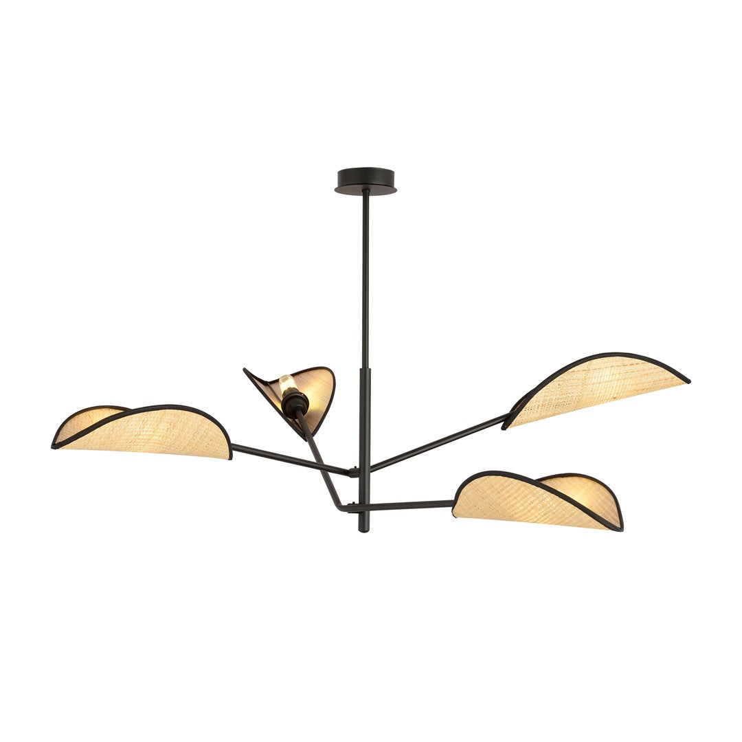 Vene Black Rattan