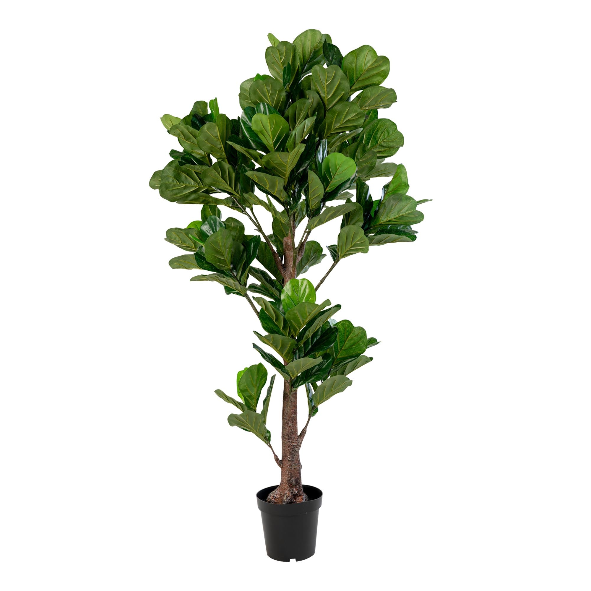 Fiddle Violinfigen Kunstig Plante  Grøn  190 Cm
